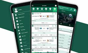 BetWinner Online Gambling Platform Your Gateway to Exciting Betting Experiences